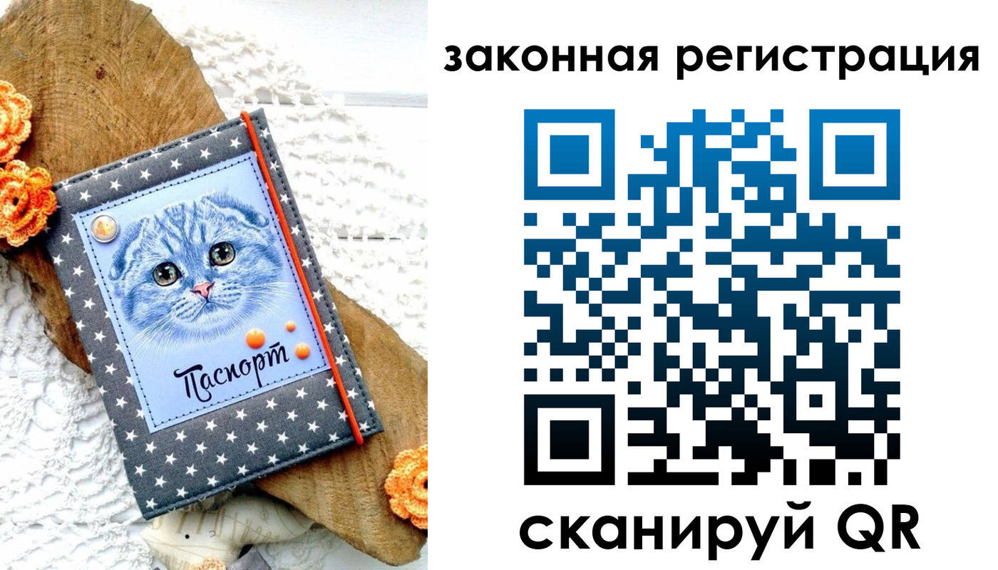 регистрация в Салавате